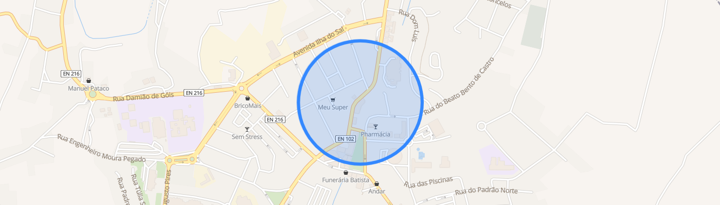 listing-map-picture