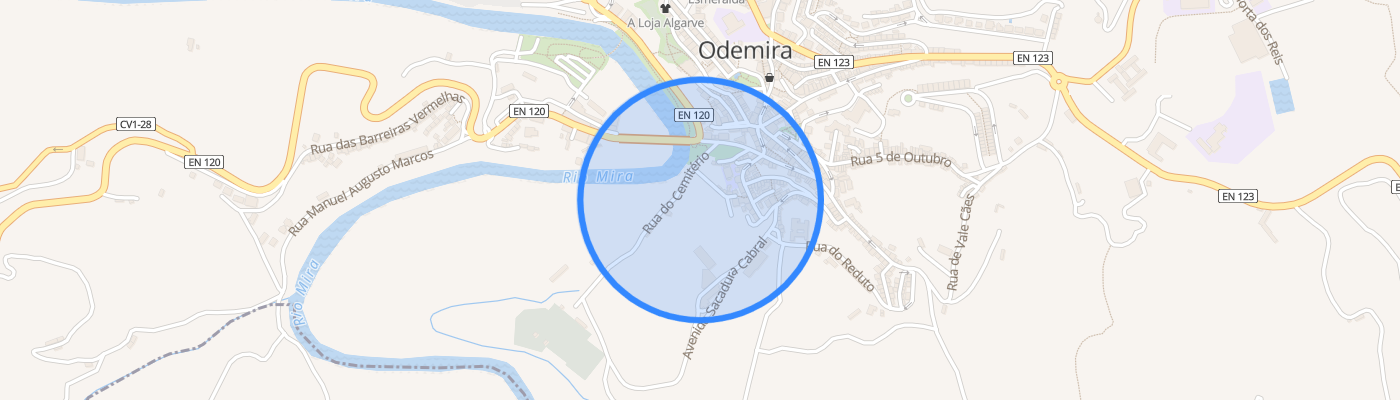 listing-map-picture