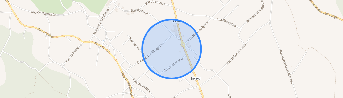 listing-map-picture