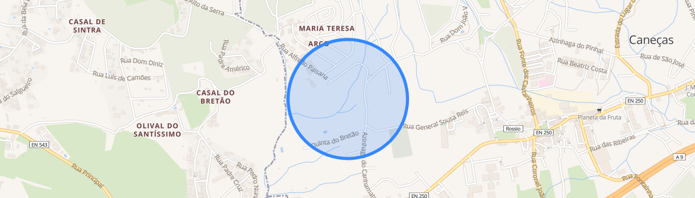 listing-map-picture