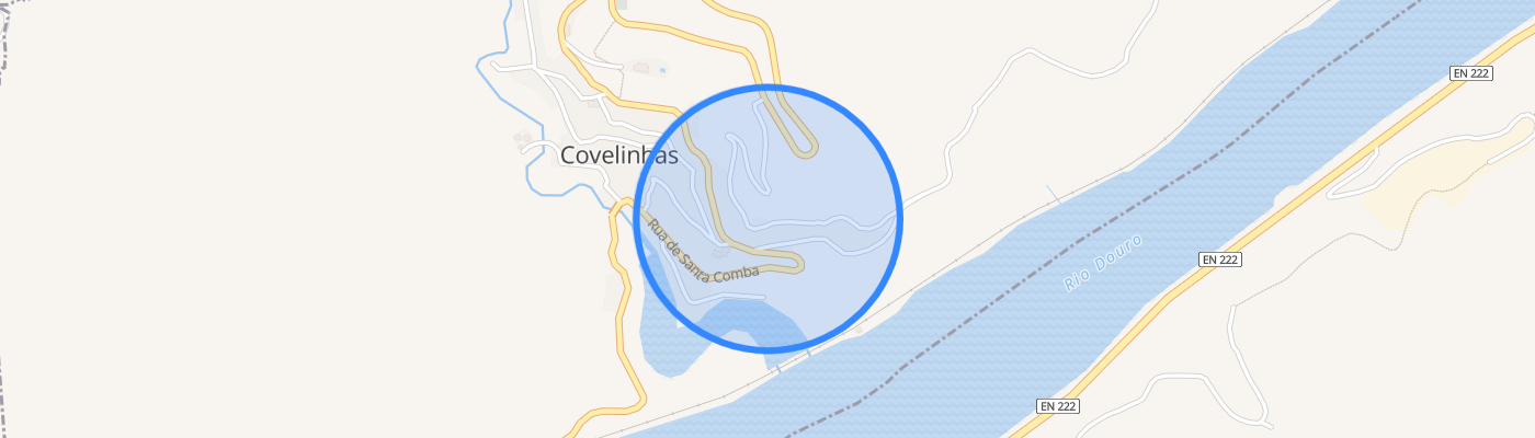listing-map-picture