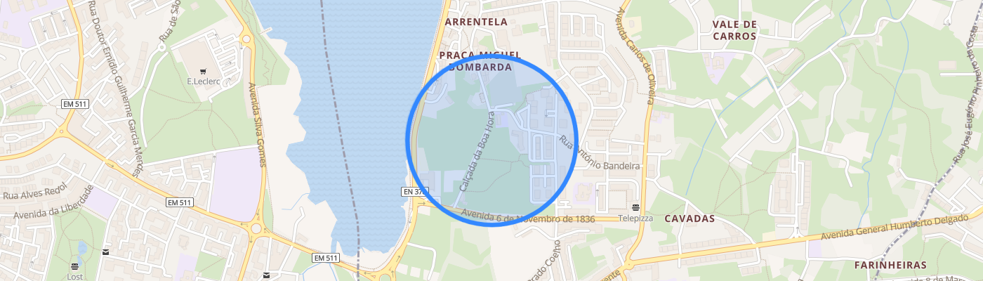 listing-map-picture