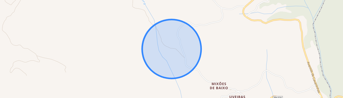 listing-map-picture