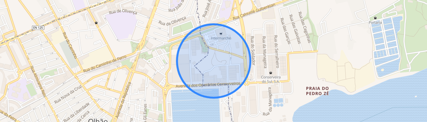 listing-map-picture