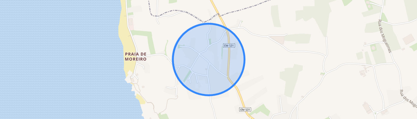 listing-map-picture