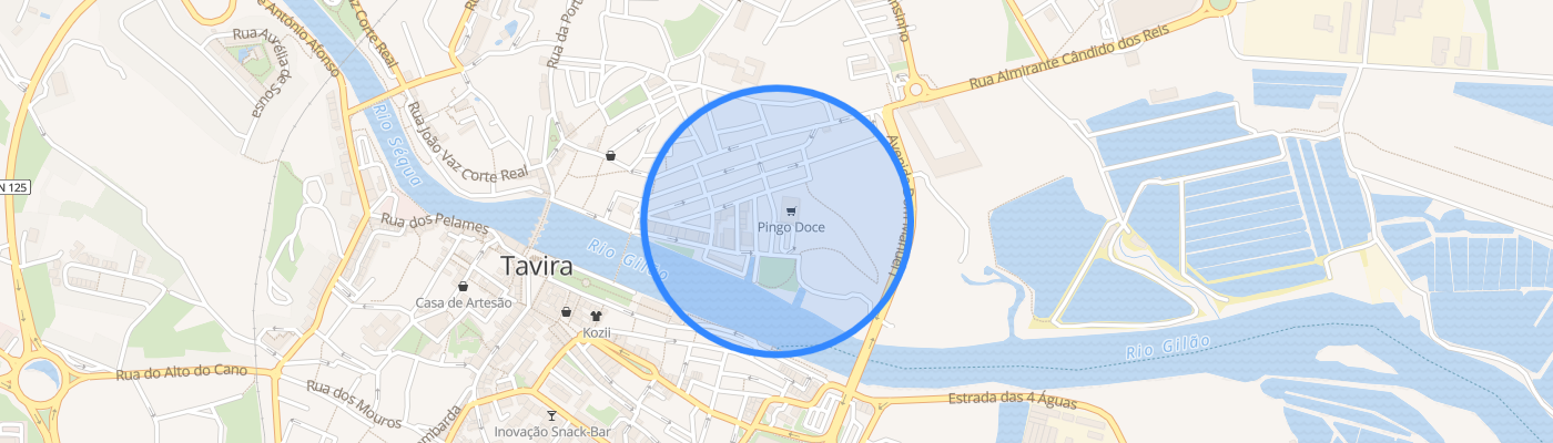 listing-map-picture