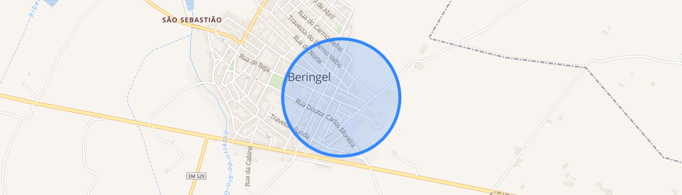 listing-map-picture