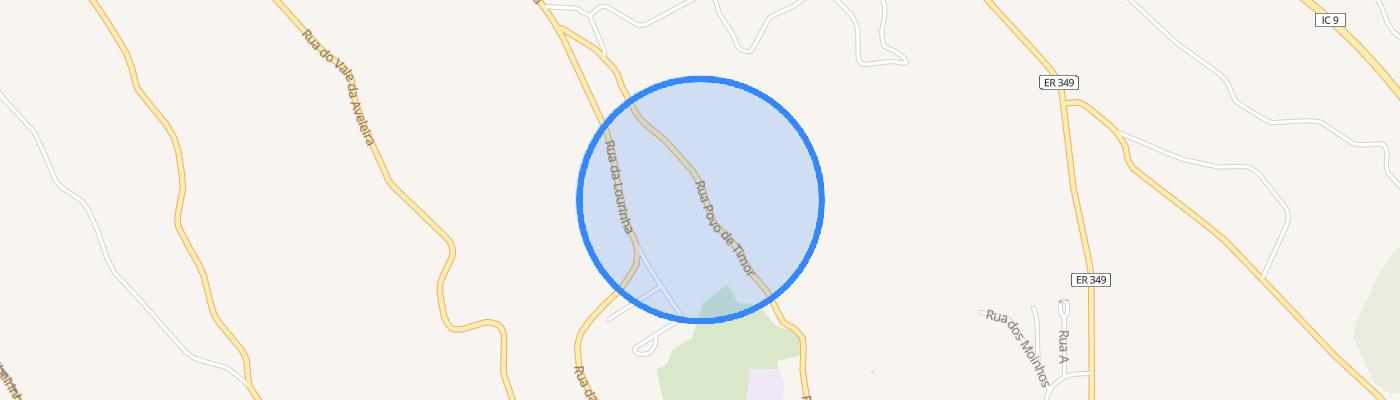 listing-map-picture