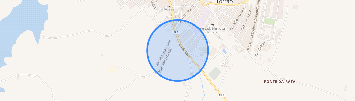 listing-map-picture