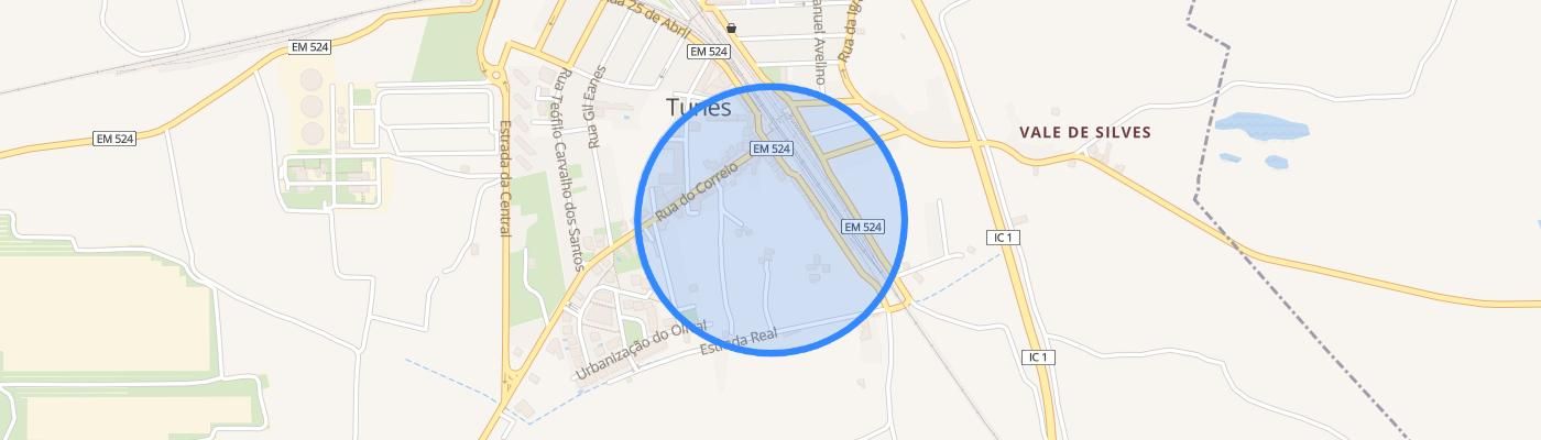 listing-map-picture