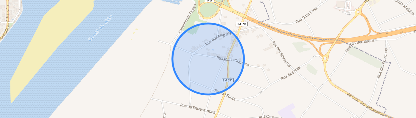 listing-map-picture
