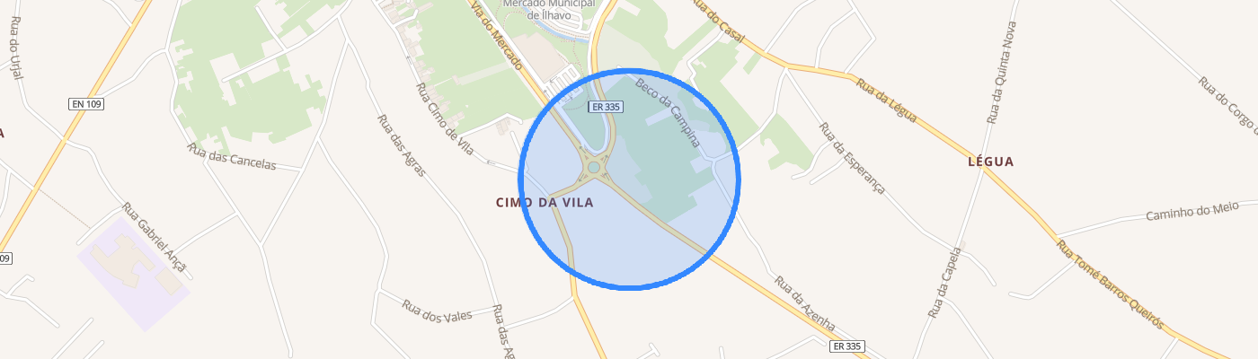listing-map-picture