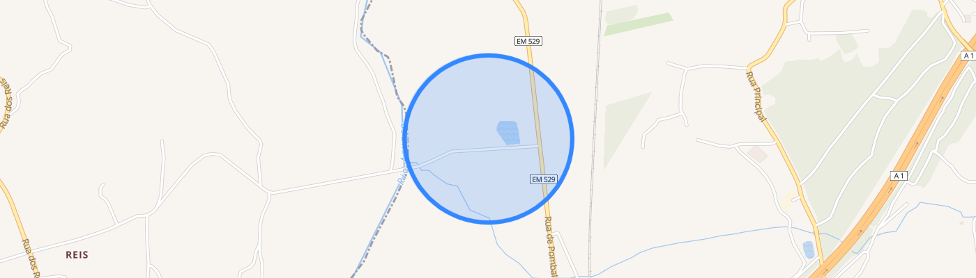 listing-map-picture