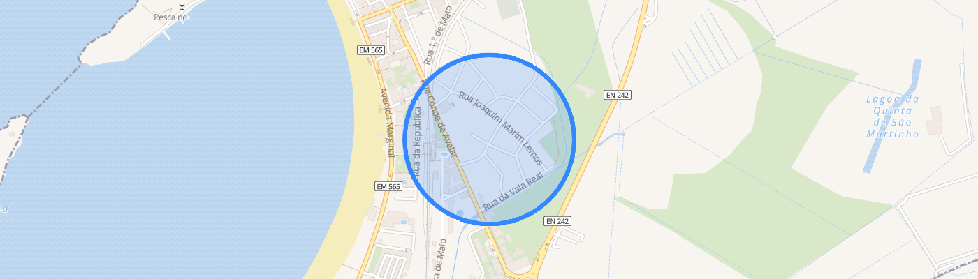 listing-map-picture