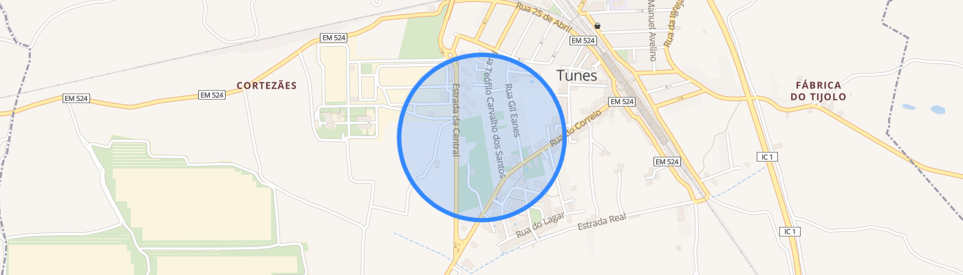 listing-map-picture