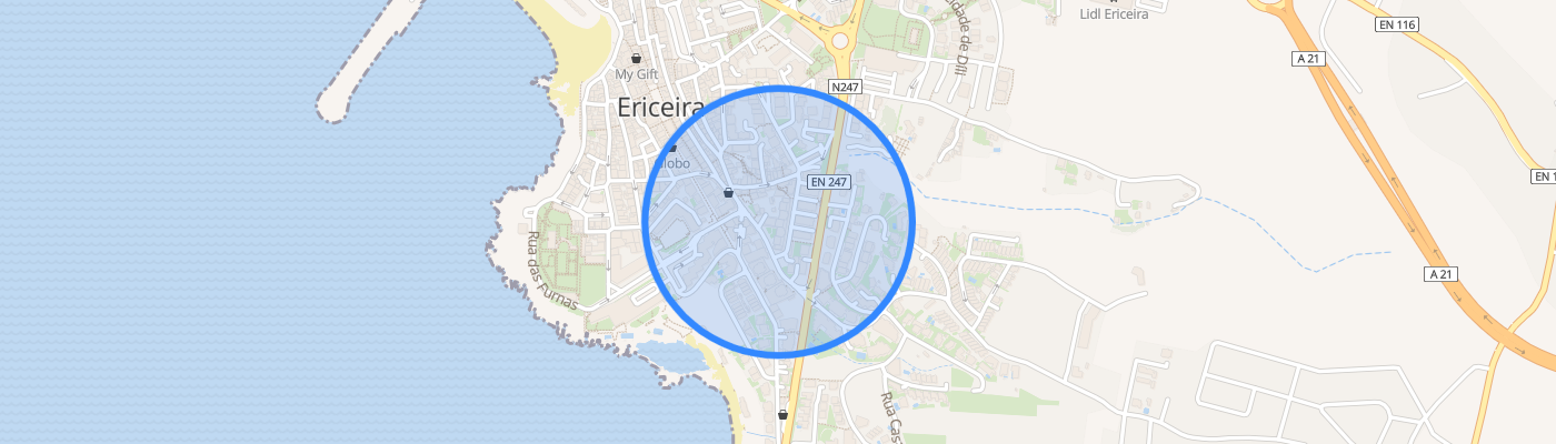 listing-map-picture