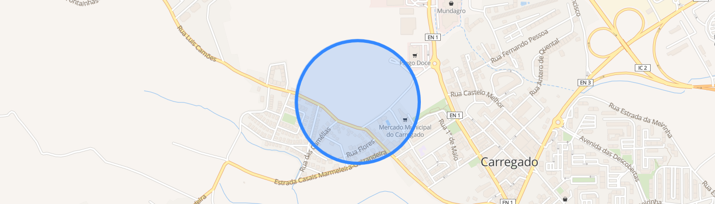 listing-map-picture
