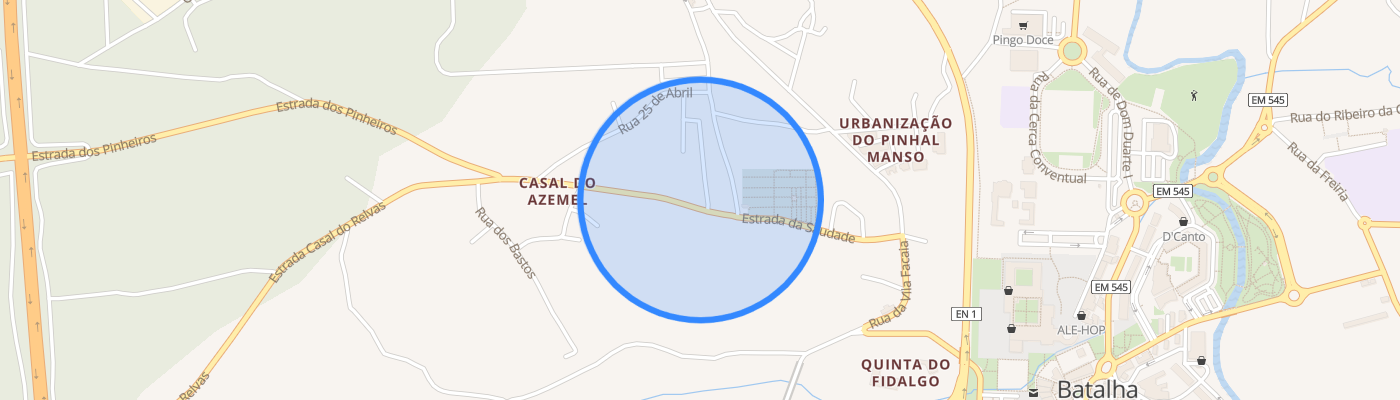 listing-map-picture