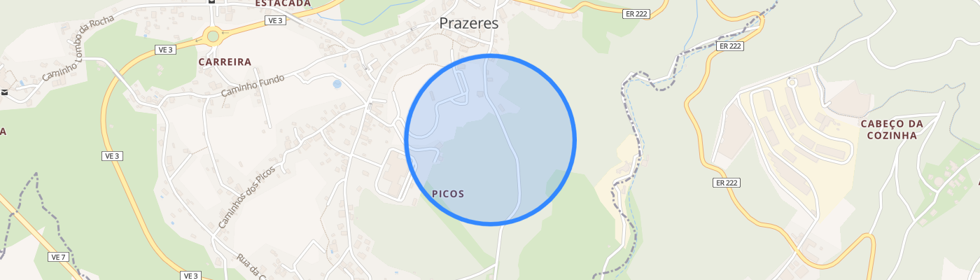 listing-map-picture