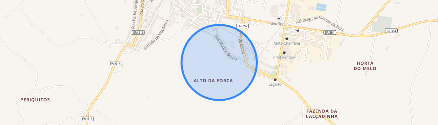 listing-map-picture