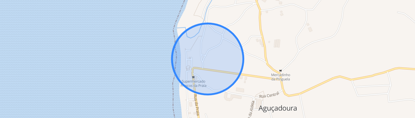listing-map-picture