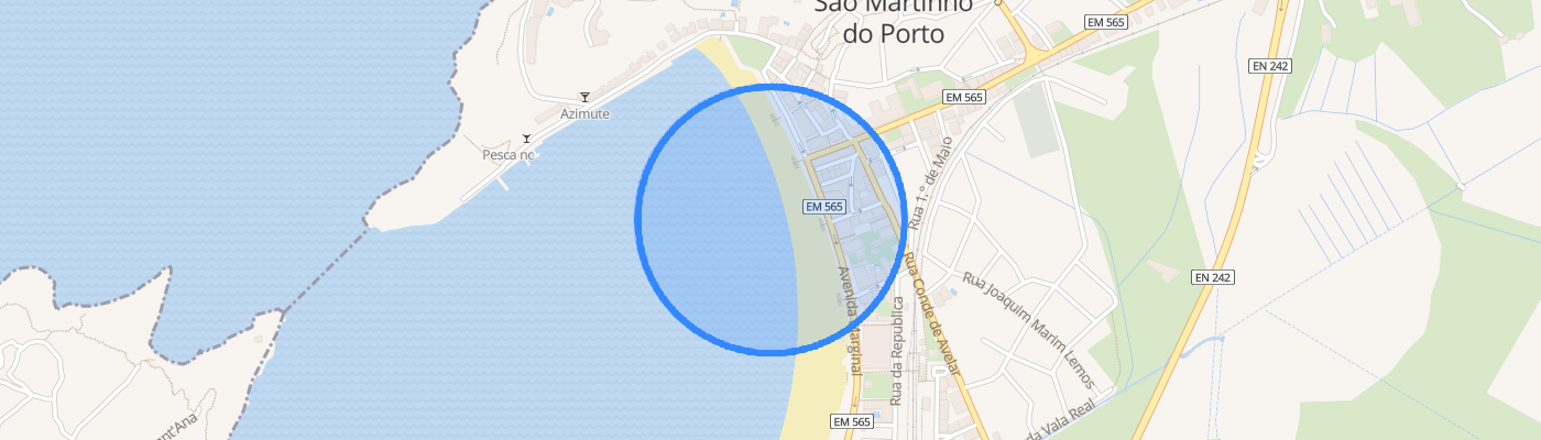 listing-map-picture