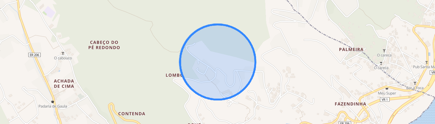 listing-map-picture