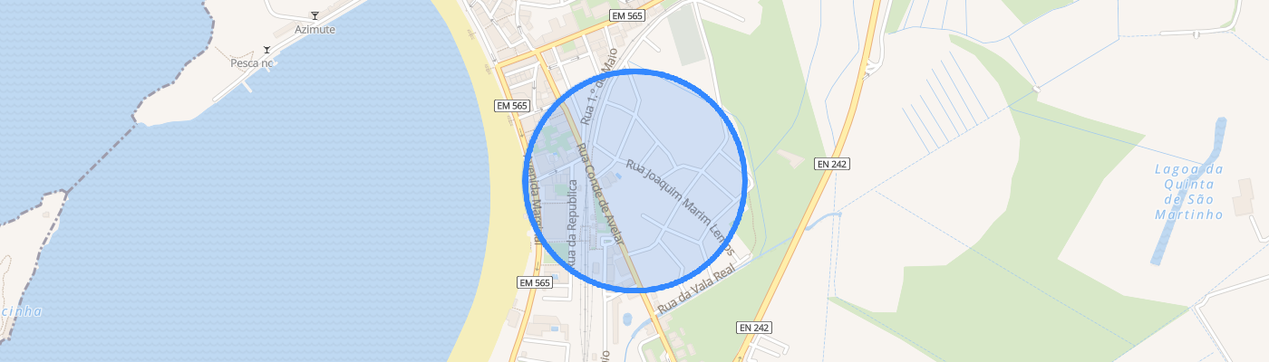 listing-map-picture