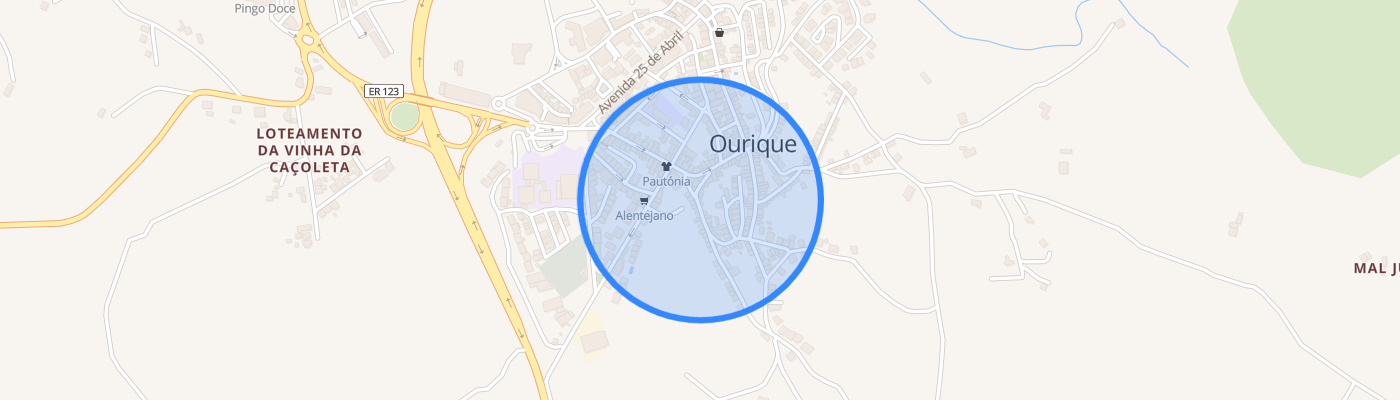 listing-map-picture