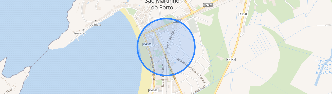 listing-map-picture