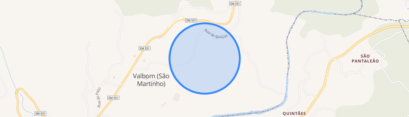 listing-map-picture