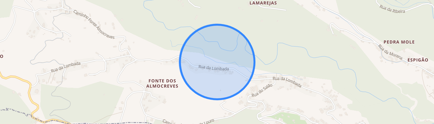 listing-map-picture