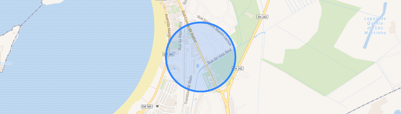 listing-map-picture