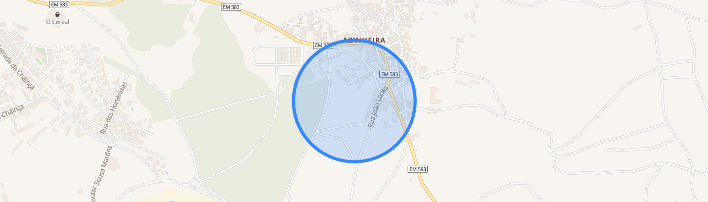 listing-map-picture