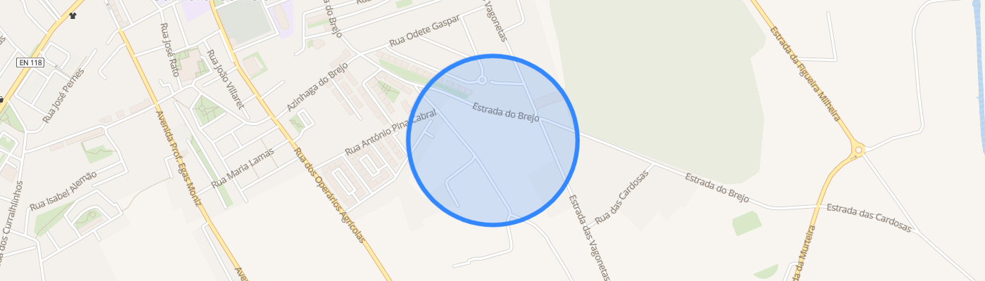listing-map-picture