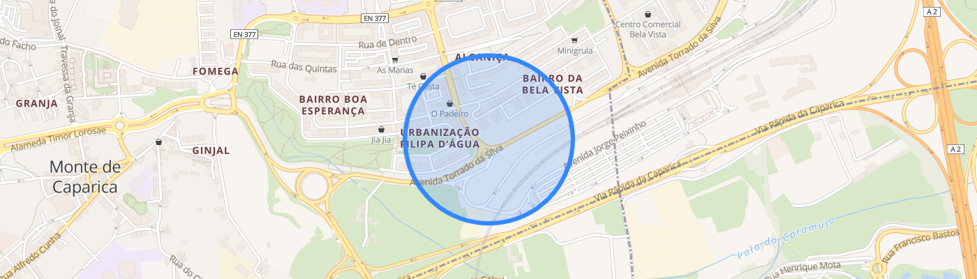 listing-map-picture