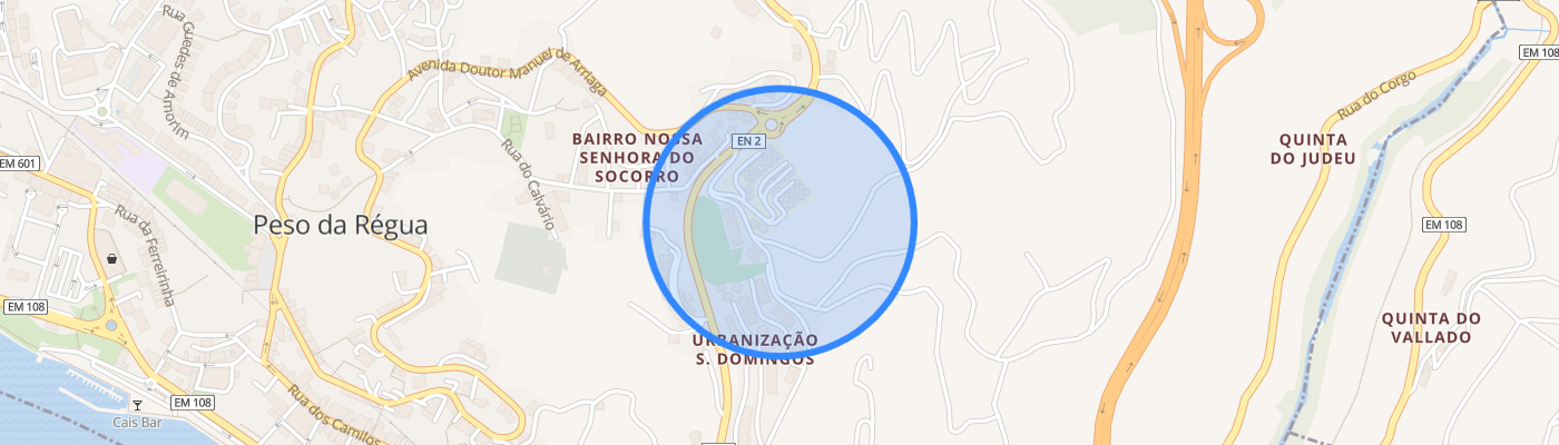 listing-map-picture