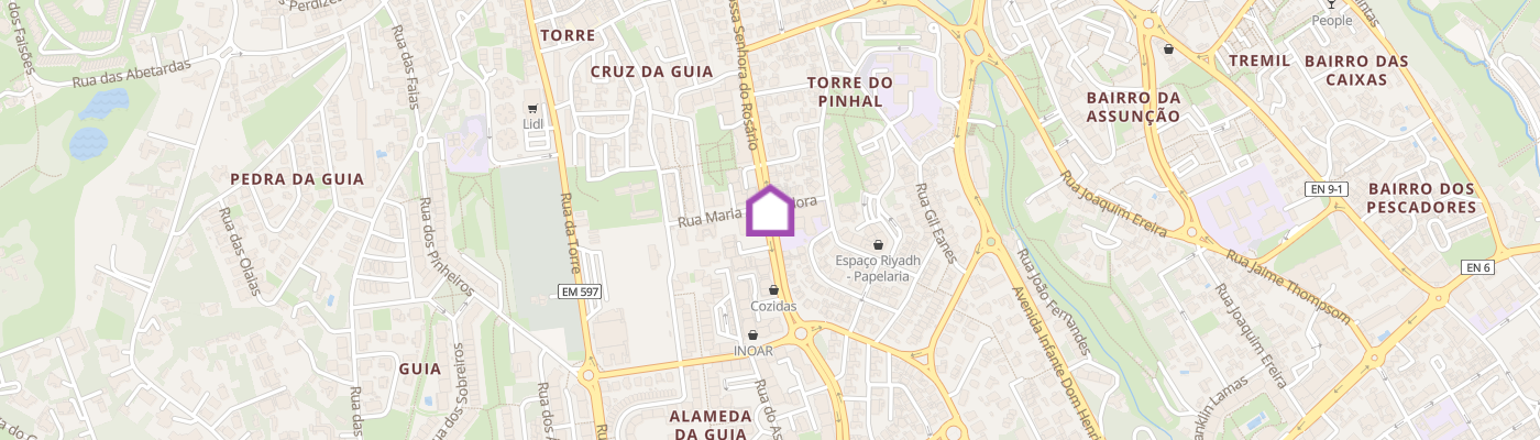 listing-map-picture