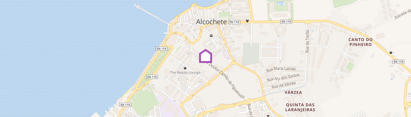 listing-map-picture