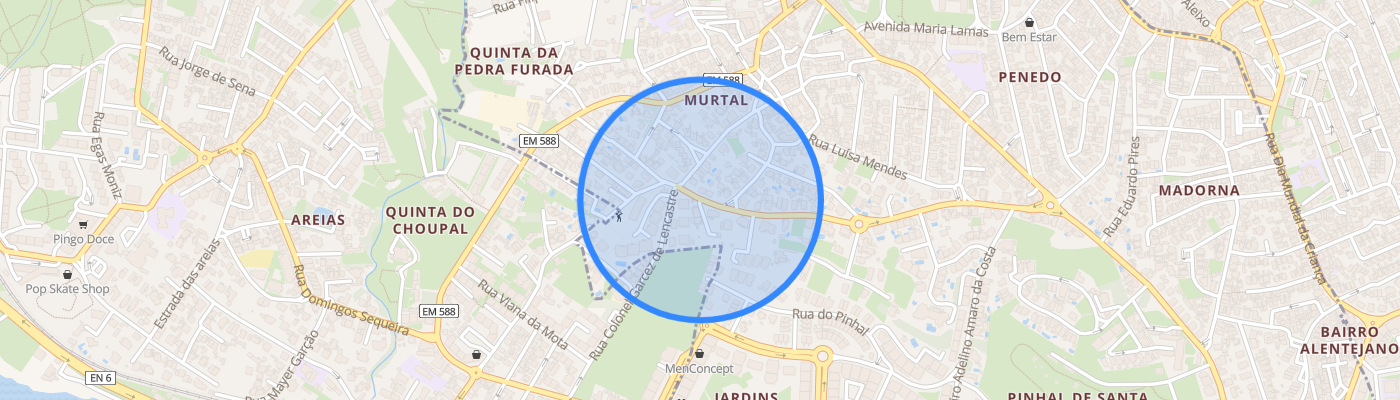 listing-map-picture