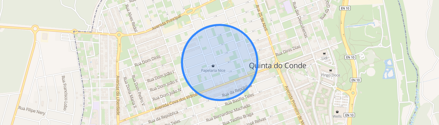 listing-map-picture