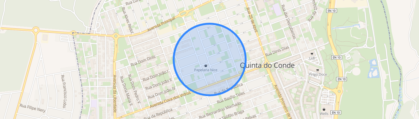 listing-map-picture