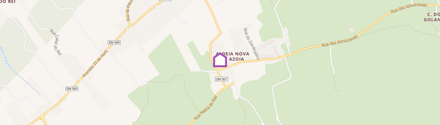 listing-map-picture