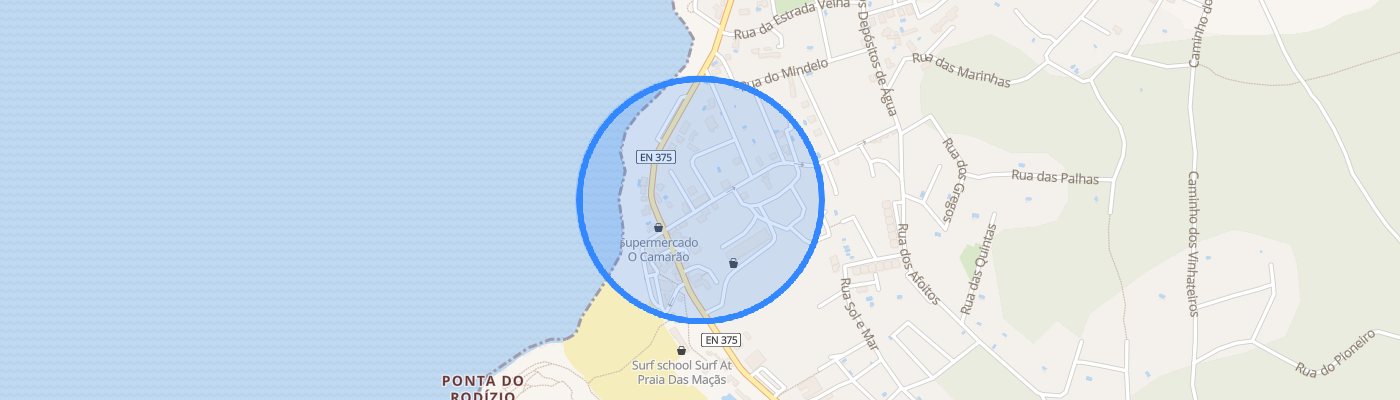 listing-map-picture