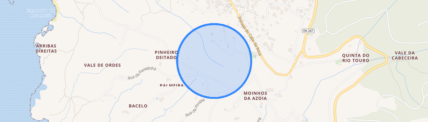 listing-map-picture