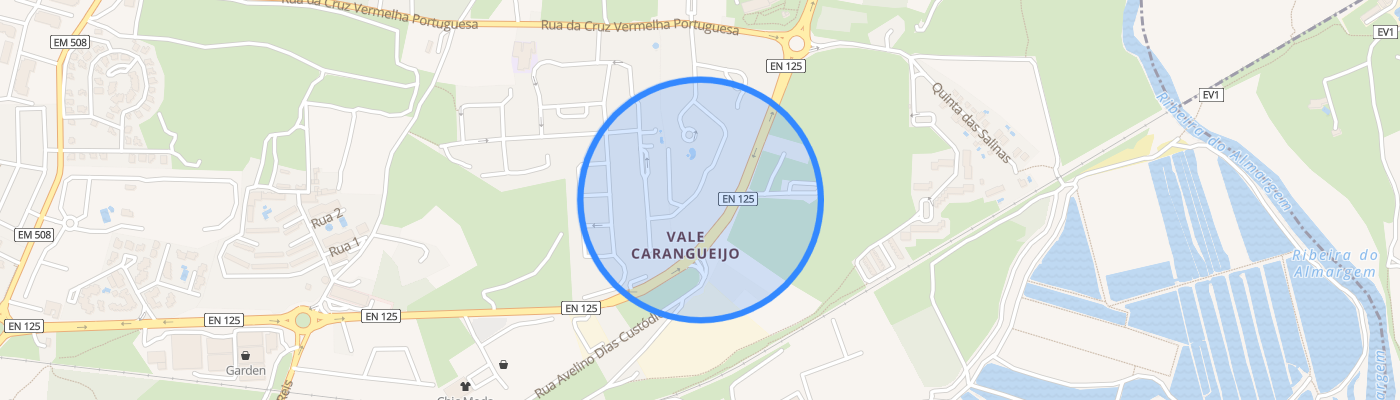 listing-map-picture