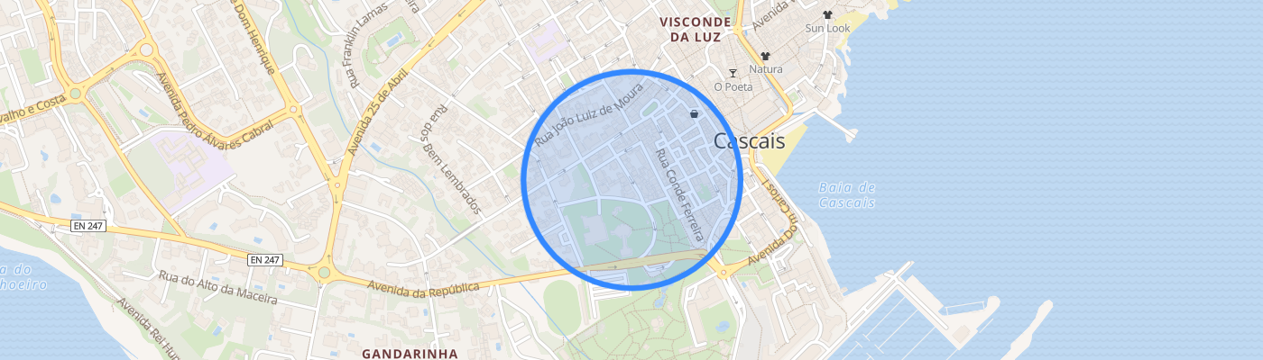 listing-map-picture