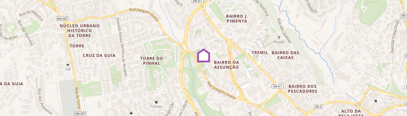 listing-map-picture