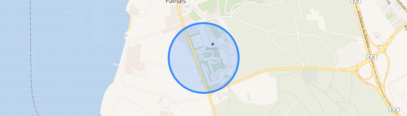 listing-map-picture