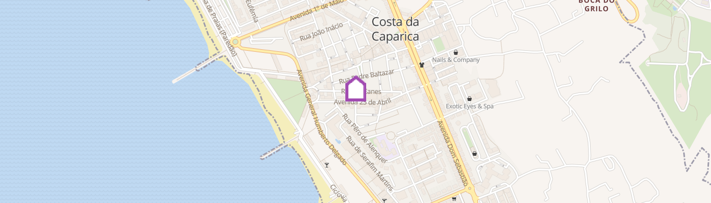 listing-map-picture